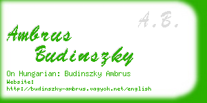 ambrus budinszky business card
